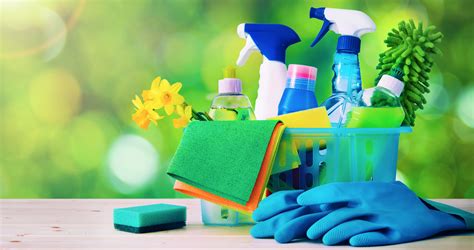 Spring cleaner. Things To Know About Spring cleaner. 